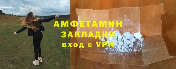 ПСИЛОЦИБИНОВЫЕ ГРИБЫ Михайлов