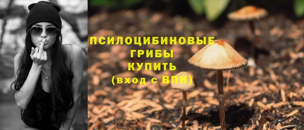 ПСИЛОЦИБИНОВЫЕ ГРИБЫ Михайлов