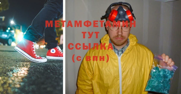 ПСИЛОЦИБИНОВЫЕ ГРИБЫ Михайлов