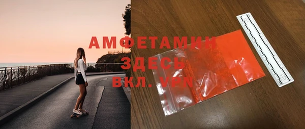 ПСИЛОЦИБИНОВЫЕ ГРИБЫ Михайлов