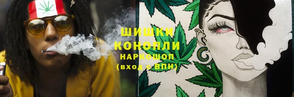 ПСИЛОЦИБИНОВЫЕ ГРИБЫ Михайлов
