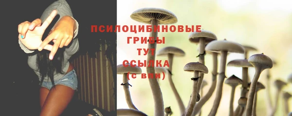 гашик Михайловск