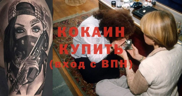 ПСИЛОЦИБИНОВЫЕ ГРИБЫ Михайлов