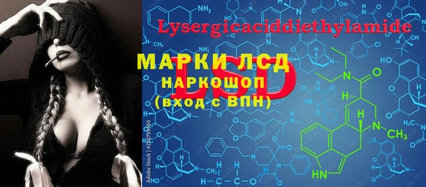 ПСИЛОЦИБИНОВЫЕ ГРИБЫ Михайлов