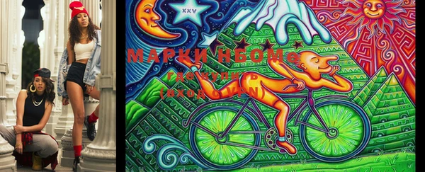 гашик Михайловск