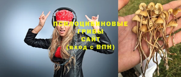 гашик Михайловск