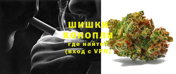 гашик Михайловск