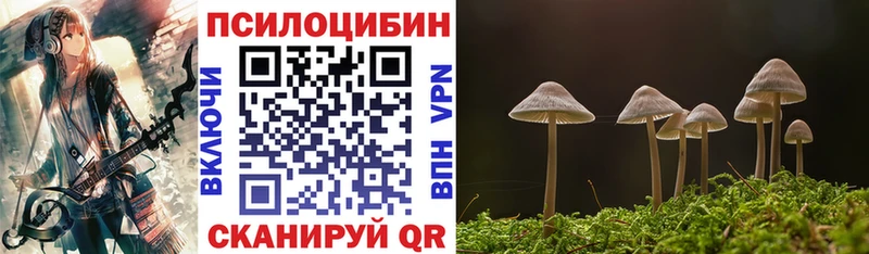 Псилоцибиновые грибы мицелий Купить Фрязино